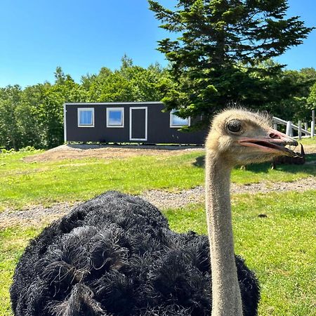 Margo'S Garden Farmstay, Kiroro Akaigawa Εξωτερικό φωτογραφία