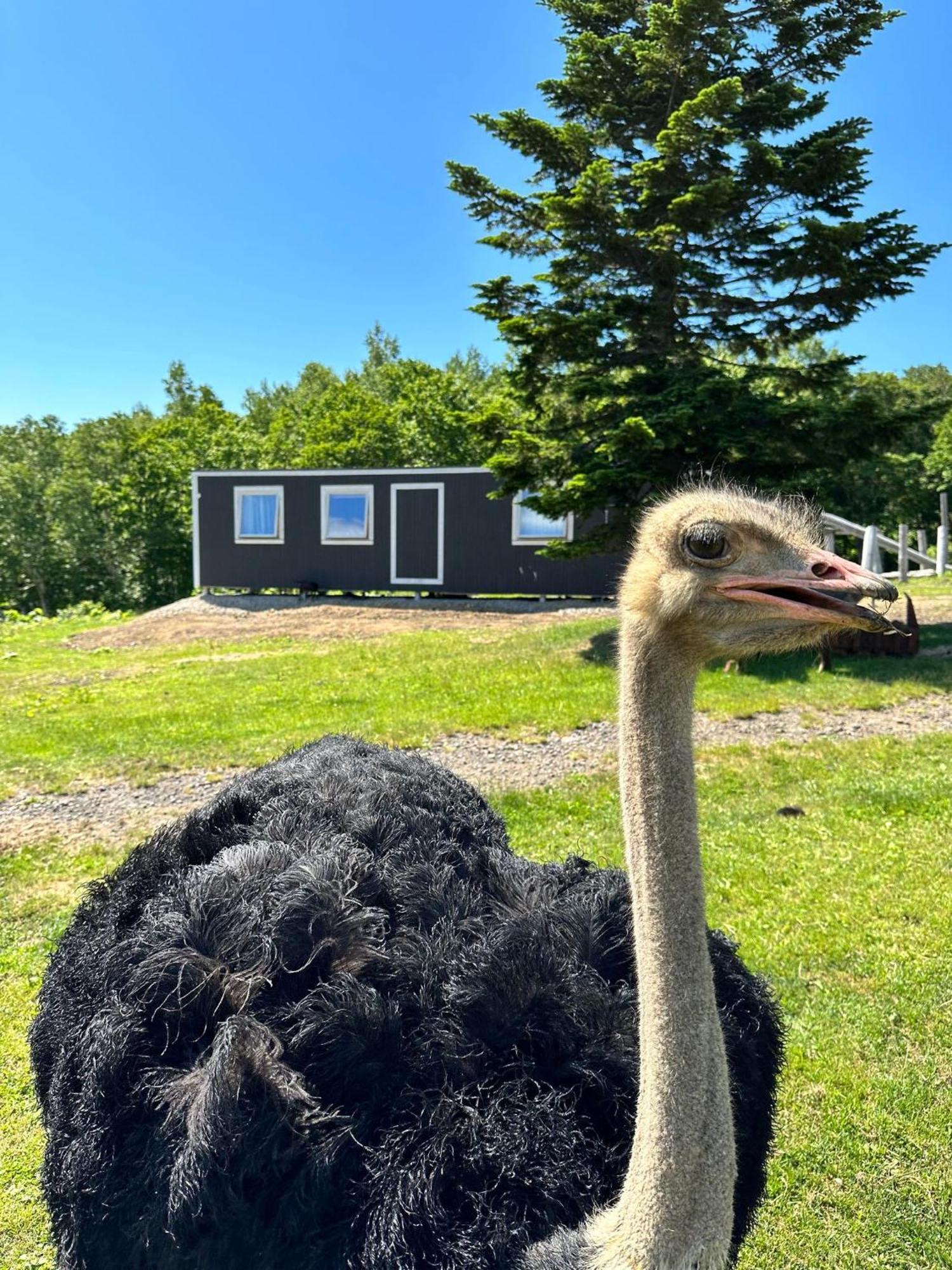 Margo'S Garden Farmstay, Kiroro Akaigawa Εξωτερικό φωτογραφία